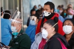 coronavirus, covid-19, coronavirus will be inescapable for 12 24 months in us study, Herd immunity