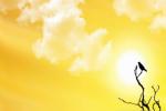 Tropic of Cancer, UAE news, friday is the longest day of the year, Uae news
