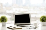 stress, plants, a plant in your office can help in preventing sick days says experts, Figs