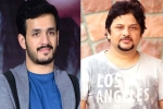 Akhil Akkineni fifth film, Surendar Reddy, akhil akkineni and surendar reddy joins hands, Coronavirus lockdown Akhil Akkineni fifth film, Surendar Reddy, akhil akkineni and surendar reddy joins hands, Coronavirus lockdown