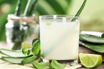 Aloe Vera Juice latest, Aloe Vera Juice health benefits, can aloe vera juice help in blood sugar control, Cold
