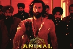 Animal nominations, Animal Filmfare, record breaking nominations for animal, Creative