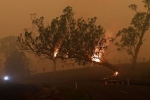 forest land, bushfires, australia fires warnings of huge blazes ahead despite raining, Gta 5