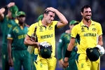 Australia Vs South Africa scoreboard, Australia Vs South Africa result, australia enters world cup final 2023, International cricket