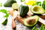 Avocado tips, Avocado latest, add avocado in your diet to lose weight, Internal medicine