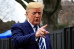 foreign, foreign, trump bans hiring of h1b visa holders for federal contracts, H1b visa