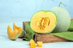 Muskmelon Seeds benefits, Muskmelon Seeds study benefits, health benefits of muskmelon seeds, Oestrogen