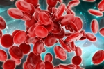 Blood Forming Stem Cells, Stem Cells, scientists generate blood forming stem cells, Frog