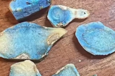 Blue Turmeric and its Health Benefits