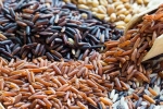 Brown Rice Vs Black Rice better, Brown Rice Vs Black Rice differences, brown rice vs black rice which one is healthier, Paris