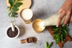 Buttermilk for Weightloss news, Buttermilk for Weightloss night, buttermilk before bed will help in weight loss, Ai features