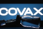 Tedros Adhanom Ghebreyesus news, Tedros Adhanom Ghebreyesus updates, covax delivers 20 million doses of coronavirus vaccine for 31 countries, Ghana