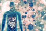 doctors, coronavirus, covid 19 can affect almost all organs experts at aiims, Niti aayog