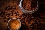 coffee and yogurt mask for hair, coffee and egg hair mask, how to use coffee for hair growth, Testosterone
