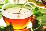 green tea, herbs, is consuming tea linked to immunity, Food options