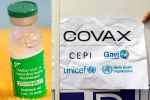 COVAX, Indian government, sii to resume covishield supply to covax, Covaxin