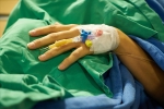 nipah virus symptoms, nipah virus prevention, here s how you can prevent deadly infection nipah virus from affecting you, Nipah viru