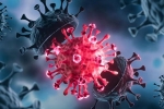 USA Coronavirus breaking updates, Coronavirus, delta variant makes usa tensed again, Usa coronavirus new