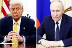 Donald Trump and Vladimir Putin call, Donald Trump and Vladimir Putin crucial meeting, all about donald trump and vladimir putin s call, Gift