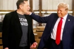 Donald Trump statements, Donald Trump latest updates, donald trump s praise for musk s starlink, Rm auction