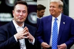 USA, Elon Musk and Donald Trump spends, elon musk s big bet on donald trump, American elections 2024