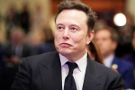 Elon Musk Epstein Files latest, Elon Musk Epstein Files news, elon musk named in new epstein files, Democrats
