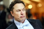 India, Elon Musk India visit updates, elon musk s india visit delayed, Environment