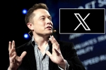 X subscription updates, X subscription latest, elon musk announces that x would be paid for everyone, Elon musk