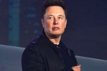 Elon Musk new update, Elon Musk latest update, elon musk talks about cage fight again, Domino s