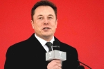 Elon Musk losses, Twitter, elon musk sells of 6 8 billion usd worth shares of tesla, Breach