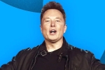 Elon Musk news, Elon Musk, elon musk s new ultimatum to twitter staffers, Tesla