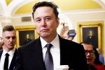 Elon Musk vs Trump Supporters, Elon Musk, elon musk vs trump supporters over indian immigrants, Puli