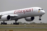 Shikha Garg, ethiopian airlines crash, ethiopian airlines crash four indians among 157 killed in flight crash, Indian high commissioner