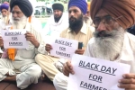 farm bill, wholesale markets, why farmers and politicians are against modi s farm laws, State governments