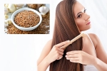 Flaxseeds hair health, Flaxseeds latest, how flaxseeds can help for a long and healthy hair, Recipes