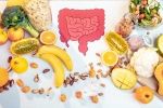 Good Gut Health  food, Gut Health experts, how to maintain good gut health, Intolerance