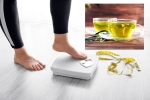 Green Tea for Weight loss study, Green Tea for Weight loss business, can consuming green tea really help in weight loss, Skin care Green Tea for Weight loss study, Green Tea for Weight loss business, can consuming green tea really help in weight loss, Skin care