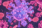 HMPV Virus case small baby, HMPV Virus, first hmpv virus case detected in india s bengaluru, Hmpv virus