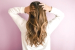 hair color in monsoon, monsoon weather, 5 fruitful tips to say goodbye to your hair problems during monsoon, Oily hair