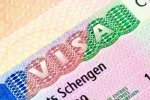 Schengen visa for Indians 2024, Schengen visa for Indians breaking, indians can now get five year multi entry schengen visa, Ice