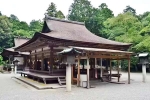 Japan Viral Mikami Shrine videos, Japan Viral Mikami Shrine breaking news, why are travellers flocking to japan s viral mikami shrine, Attention