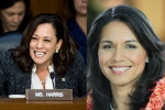 democratic primary, Harris, kamala harris tulsi gabbard to begin campaign in february, Nandu
