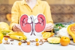 Kidneys Health India, Kidneys Health medication, how to keep your kidneys healthy, Pasta