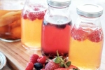 Kombucha and Fermented Foods benefits, Kombucha and Fermented Foods health benefits, health benefits of kombucha and fermented foods, Kombucha