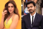 Vamshi Paidipally, Kriti Sanon with Vijay, kriti sanon to romance vijay in his next, 1 nenokkadine