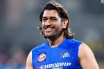 MS Dhoni latest, BCCI, good news for ms dhoni fans, Csk