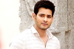 Spyder, Spyder latest, mahesh babu to take a long break, Bharat anu nenu