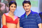 Trivikram, Pooja Hegde and Trivikram, mahesh babu all set to romance pooja hegde again, Maharshi