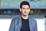 SSMB28 news, Pooja Hegde, mahesh babu s filmmakers slam rumors, Ssmb28