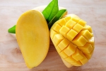 chemicals in mangoes, calcium carbide on mangoes, mouth watering mangoes may contain cancer causing chemicals, Eye damage